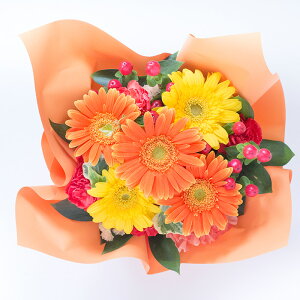 H HLeBAW G߂̃t[Mtgyԁz a jpG߂̉ H LO j   hV̓ FKAA