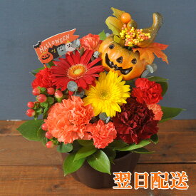 楽天市場 ハロウィン カボチャ アレンジメントの通販