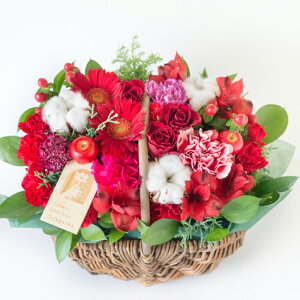  Mtg NX}XK[xoXPbg  o K[x   a  ސE JX I[v j Mtg bZ[WJ[h  av[g FKAA