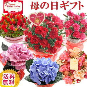 母の日 プレゼント ギフト 選べる花鉢&リース母の月 カーネーション アジサイ ケイトウ リースご注文から最短で出荷 本州・四国は送料無料 北海道・九州のお届けは送料650円 沖縄県・離島お届け不可 2021 FKHH