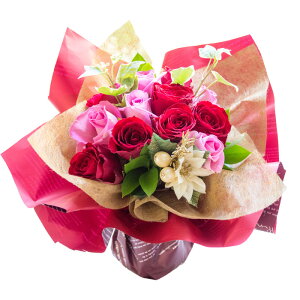 NX}XAW NX}XnOu[P  yz  t[ abZ[WJ[ht LO j v[g ykCEyї͂͂sz Mtg N