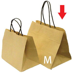 AW܃NtgM 10Zbgy5300016zW34×D22×H31/TH51cm 䎆tSꗥiꌧE͂͂s) zCG   FKTS