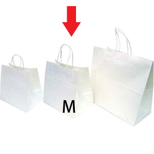 AW܃zCgM 10Zbgy5300011zW34×D22×H31/TH51cm 䎆tSꗥiꌧE͂͂s) zCG   FKTS