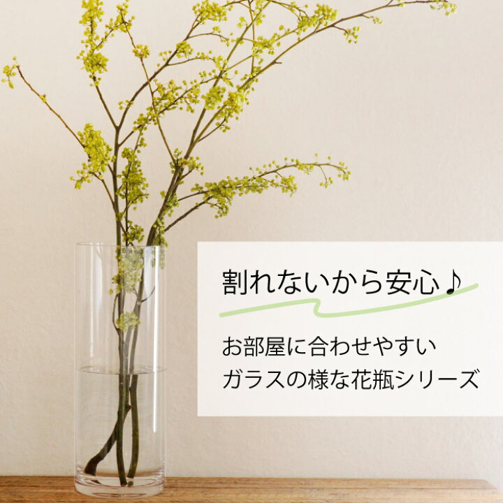 楽天市場 割れない花びんpvシリンダーh40 お花が長持ち サイズ Fh12cm H40cm 1kg 沖縄県 離島はお届け不可 ドウダンツツジ 花瓶 クリアー フラワーベース 大きな シンプル 花器 透明 大きい 送料込み ホワイエ Fkrsl Flowerkitchen For