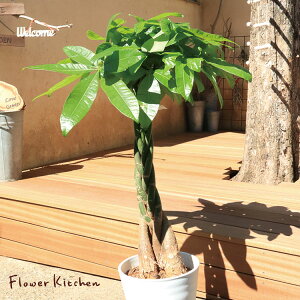 ϗtA pL 8 ySzĂ₷ Aj JXj JƏj Vzj zj j V CeA ZA[g ^ CeA JXj  zCg Mtg FK