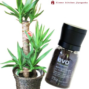 iϗtjyAƔ엿̃Zbgzw bJ 7 + evo ACɂȂ엿 75g x bJ N̖ evo ϗtA L@엿 엿 h{ v[g FKTK