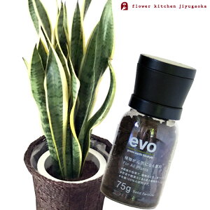 �i�ϗt�j�y�A���Ɣ엿�̃Z�b�g�z�w �T���Z�x���A 7���� + evo �A�������C�ɂȂ�엿 75g �x �T���X�x���A evo �ϗt�A�� �L�@�����엿 �엿 �h�{�� �v���[���g FKTK