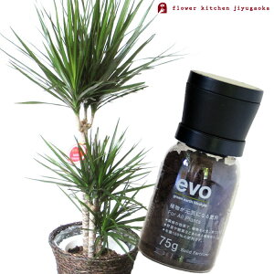 観葉植物 栄養剤の人気商品 通販 価格比較 価格 Com