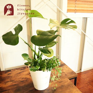 iϗtjw IׂϗtA 8 ~jϗt̊񂹐A x yzhZi Xe TZxA TXxA Xg`A ϗtA Mtg v[g 蕨 FKTK