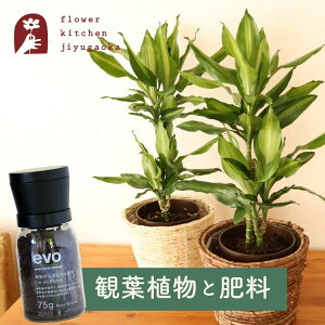 yyz ϗtA hZi WF 6 ۃJS + evo ACɂȂ엿 75g K̖ evo 엿 Ă₷ j v[g Mtg j JXj JƏj Vzj zj j V