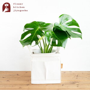 yyzXe 6 |bg 󂯎Mt Re:pot 980-005 AƔJo[̃Zbg |bg Jo[ re:pot ϗtA A ̔ a JX zj Vzj CeA y