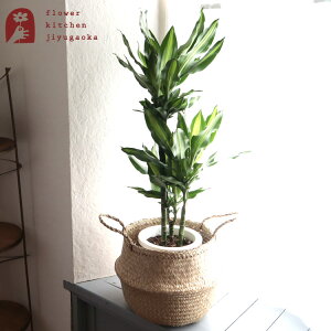 yyzϗtA hZi WF 7 +kX^CJS t[fBX Jo[ k t[fBX FLADIS 403.221.74k CeA oXPbg ϗtA A ̔ a JX z