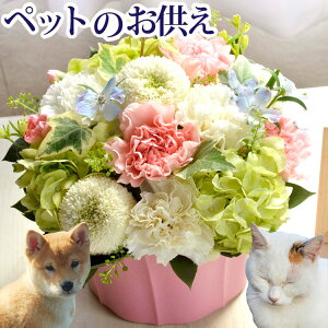 yyzybg֑邨 AW uԍ-͂Ȃ-v yybgpzybgX ̃AWgyybg{zybĝ     