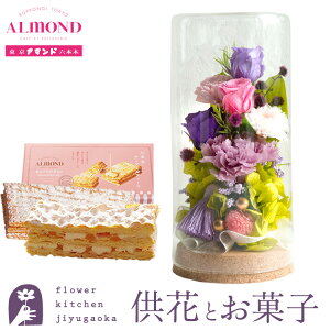 yzvU[uht[uaSvp[v~bNX+uZ{؃A}hv`[Y~tB[MtgZbg yz ͂Ȃ    Mtg yMt_bZ