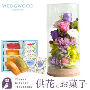 yzyEFbWEbhzvU[uht[uaSvp[v~bNX +tBiVFyEFbWEbhzeB[obOZbg WEDGWOOD yz ͂Ȃ   