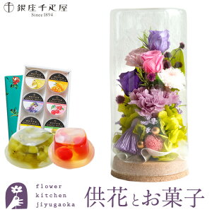 yDzyzvU[uht[waSxp[v~bNX+yDz[[6Zbg yz ͂Ȃ    Mtg yMt_bZ