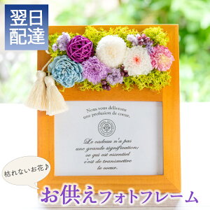 y tHgt[zAtHgt[yz͂ȂMtg vU    Mtg  m ~   ʐ^ tHgt[ t[ 