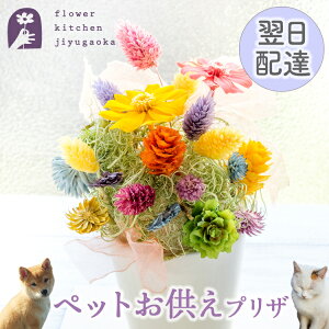 ͂Ȃ vU Himmel`q`  vU[uht[ z͂ȂMtg    r yMt_ yMt_bZ yΉ y_yjc bZ[W