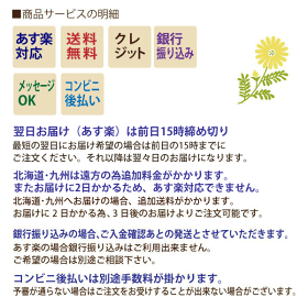 サービス明細