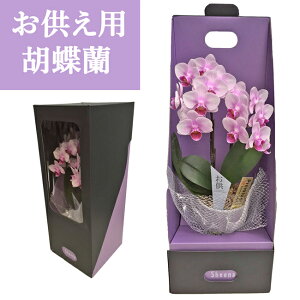 Yn̉ԃMtgyA-318zye[uӒ p 2{zŖm̌Ӓ R`E  r ~ ފ 蕨  Mtg