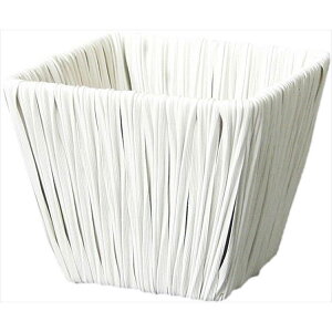 y43-23923-0z Ԋ@AW@ 23|923@ 8P@Ԏ H| FKTS