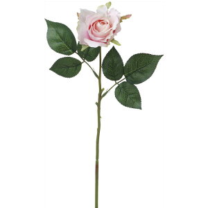 y65-672267-0z ԁ@A[gt[ VE|6722@j[GU[Y@CgsN@ LT/PI 1{@Ԏ H| FKTS