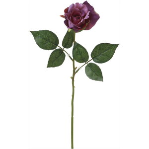 y65-672298-0z ԁ@A[gt[ VE|6722@j[GU[Y@p[v@ PU 1{@Ԏ H| FKTS