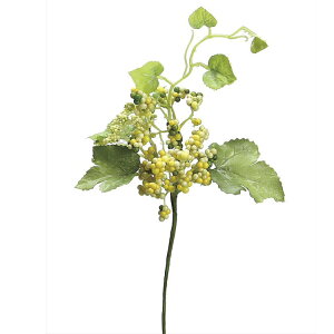 y66-260063-4z ԁ@A[gt[ Z0063@ChO[vx[sbN@ #004 CG[ 1{@Ԏ H| FKTS