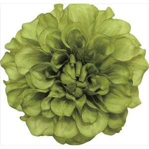 y66-41063-0z ԁ@A[gt[ S|5003@tVX_A@ O[ 1{@Ԏ H| FKTS