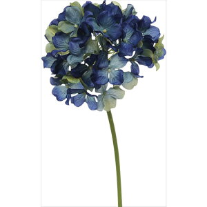 y66-792437-0z ԁ@A[gt[ F4057@nChWAsbN@ #005 u[ 1{@Ԏ H| FKTS