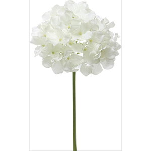 y66-792468-0z ԁ@A[gt[ F4057@nChWAsbN@ #001 zCg 1{@Ԏ H| FKTS