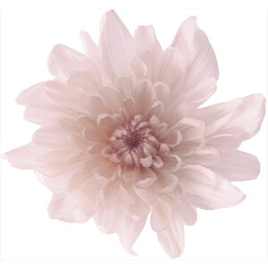 y76-4790-131z vU[uht[ Ƃˋe@6 VL[sN 1@Ԏ H| FKTS