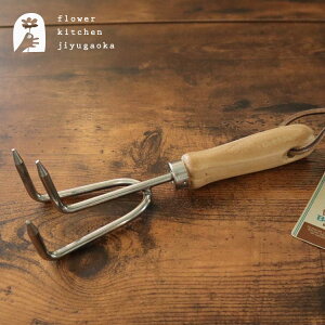 �y�����y�z DULTON ���C�N 210 K955-1221�y�����S���ꗥ��580�z �_���g�� ���[�L ���C�L �F�� ���|�p�i �K�[�f�j���O�p�i�i�G�݁j FKTS