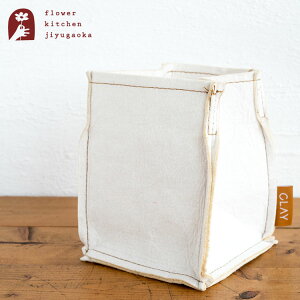 Re:pot |bg 980-002 Jo[ SDGs GR TXeiu ecoiG݁jFKTSylR|Xցzyz z v^[ TCN Aؔ [ obO |pi ƒ؉ sDz CeA K[