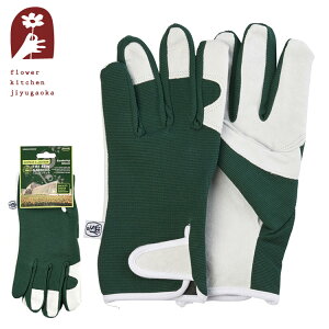 SJ U[p[O[uM 42303 O[u  |pi K[fjOpi ށiG݁j[ FKTS