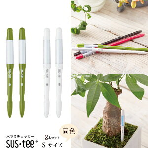 Zbgłw STCY {2{Zbg TXeB[ Apv x yzlR|X () ̃^C~OApv 2`ȏɂSTCY߂܂