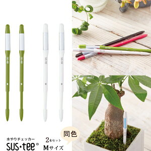 Zbgłw MTCY {2{Zbg TXeB[ Apv x yzlR|X () ̃^C~OApv 3`6ɂMTCY߂܂