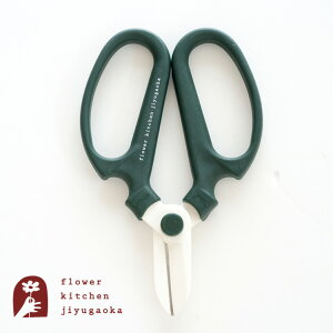 w Ԃ͂݁@XO[x  lR|X܂͂䂤pPbg y⌹ nhNG[V F170z170mm F-170 FlowerKitchen̉|EԃnT~nP[Xt  ObhfUC y