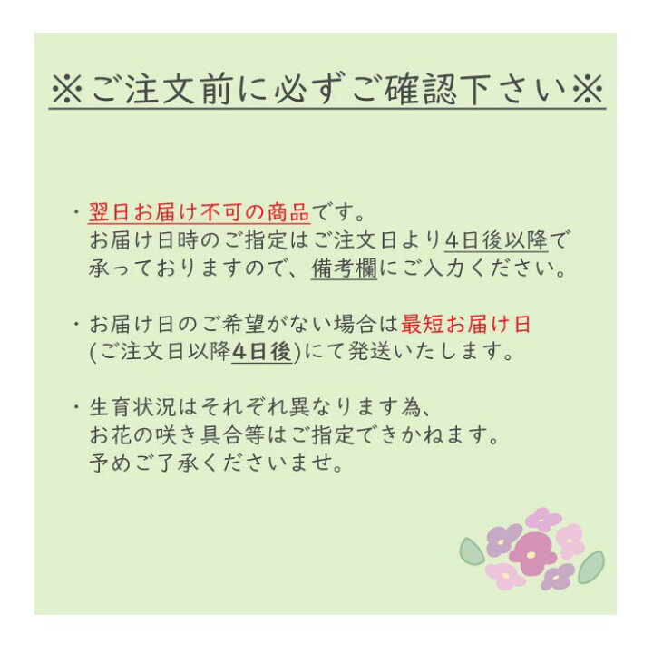 メーカー再生品】 テーブル胡蝶蘭 椎名洋ラン園の胡蝶蘭 胡蝶蘭 花 メーカー再生品】 テーブル胡蝶蘭 椎名洋ラン園の胡蝶蘭 胡蝶蘭 花