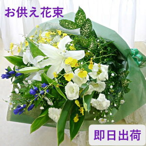 ypԑz  Q G߂̐Ԃ̂ ԑ ~ ފ V ʖ  [     r͂͂ r   