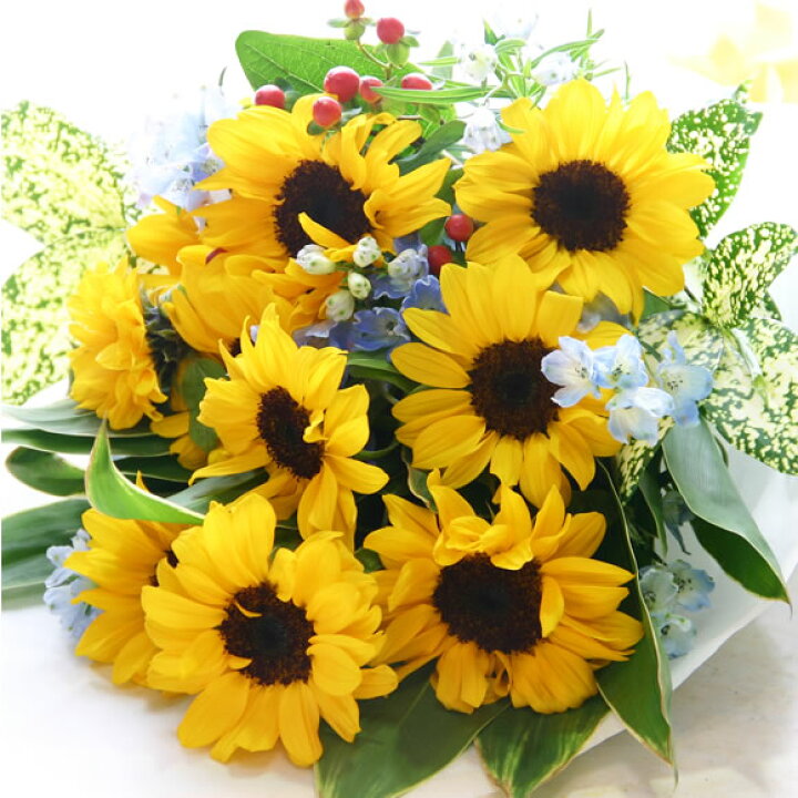 楽天市場 送料無料 父の日 花 プレゼント 元気が出る夏の花 ひまわり 向日葵 サンフラワー のフラワーギフトヒマワリ と季節の添え花の花束日頃の感謝を伝える父の日ギフトに 明るいヒマワリを主役にした花束です 楽ギフ 包装 楽ギフ メッセ入力 花の専門