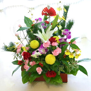 y 11܂ŃN[|zzzIׂ邨̃t[AWgy  ԁza m X^C Iׂ  }t c  AWg ̌}