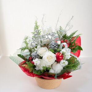 yGߌzNX}X  t[MtgAWg ԑ IׂTCY SML  MtgNX}XV[Ŷj a LO p[eB[ j v[g  o