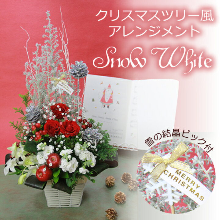 楽天市場 コチアを使ったクリスマスツリー風フラワーアレンジメント スノーホワイト クリスマスのお祝いに クリスマスプレゼントに クリスマスパーティーの飾りつけ 手土産に クリスマス 花 送料無料 花の専門店 行きつけのお花屋さん