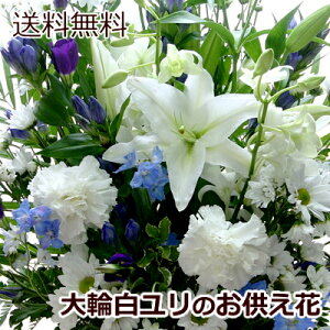 【送料無料 即日発送】大輪 白百合 お供え花(フラワーアレンジメントM) お彼岸 墓参り お供え花 お悔やみ 命日 仏事 法事 法要 ペットのお供え ご仏前 ご霊前 墓参 喪中 喪中見舞い 白ユリ ア