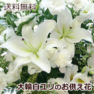 カサブランカ 生花の人気商品 通販 価格比較 価格 Com