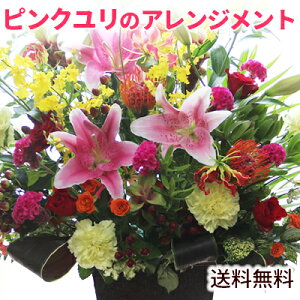 y z sN̂jLL t[AWga \ LO j oYj Vzj ʉ y JXj  y摜zMzybZ[WJ[h 