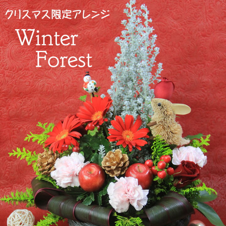 楽天市場 コチアを使ったクリスマス限定フラワーアレンジメント ウィンターフォレスト ウサギ リスのマスコット 人形 付 クリスマスのお祝いに クリスマスプレゼントに クリスマスパーティーの飾りつけ 手土産に クリスマス 花 送料無料 花の専門店