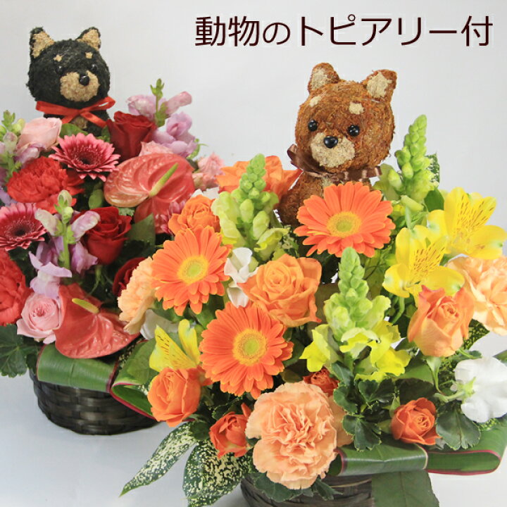楽天市場 犬など動物のトピアリー 人形 と季節の花をアレンジしたフラワーギフト フラワーアレンジメント ペット ガーデン トイプードル 柴犬 イヌ ネコ ウサギ クマ 母の日 誕生日や記念日のお祝い お見舞いのプレゼント ペットのお供えに 送料無料 あす楽対応