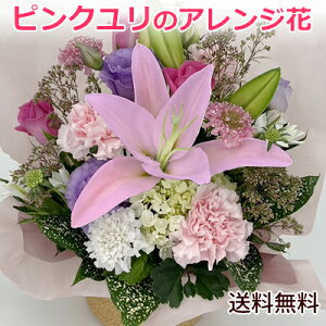 y z sN̂jS t[AWga \ LO j oYj Vzj ʉ y JXj  y摜zMzybZ[WJ[h 